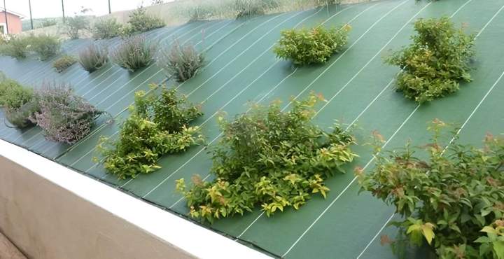 Plantation sur bâche Gannay-sur-Loire